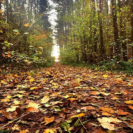 Apartment Kalimera *