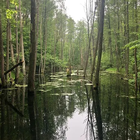 Apartment Kalimera *