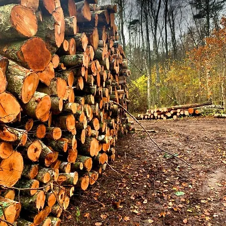 Kalimera Apartment *