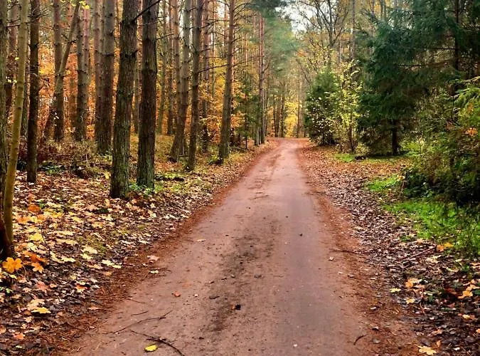 Kalimera * 卡尔维亚