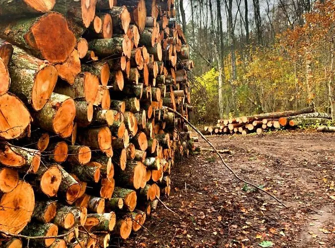 Kalimera Apartament *